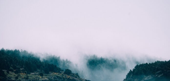 Nicole Amoroso shares an atmospheric offering with "Blue Mountain Street"