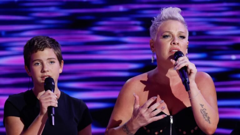 P!NK Performs “What About Us” with Daughter Willow at DNC: Watch