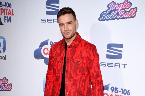 Liam Payne leads judging panel for new Netflix talent show Building The Band