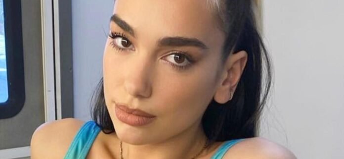 Dua Lipa's Sheer Braless Dress Inappropriate For 'Family' Movie Premiere