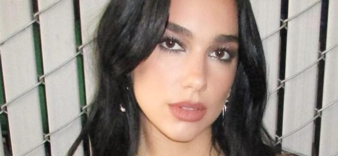 Dua Lipa In See-Through Skirt Asked Why She 'Bothered Wearing Clothes'