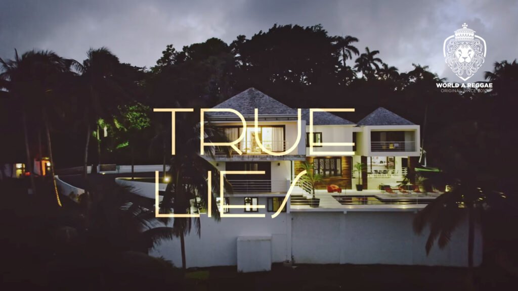 True Lies – Naomi Cowan (Visualizer)