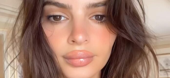 Emily Ratajkowski Walking Dog In Sheer Underwear Told 'That's Not An Outfit'