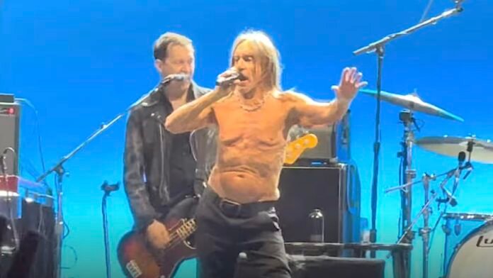 Iggy Pop Performs Viral Superman Song “Punkrocker” Live for First Time: Watch