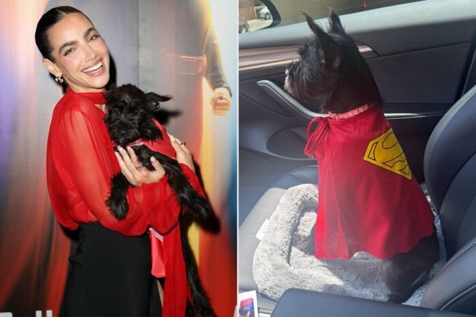'Superman' Star Gets Her Own Krypto by Adopting Dog from Premiere Event