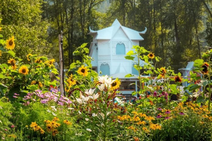 Shambhala