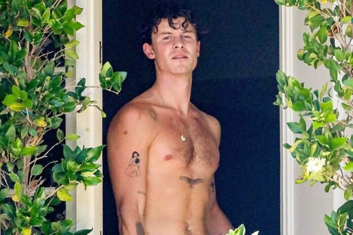 Shawn Mendes Finally Shows Off His New Eagle Tattoo in Shirtless Photos