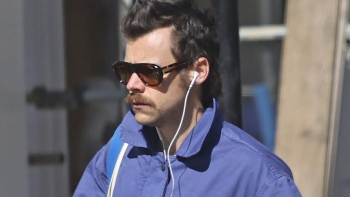 Harry Styles Logs Elite Marathon Time Under Elite Fake Name