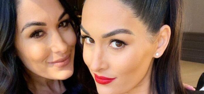 Bella Twins’ Bikini Post Sparks Debate: ‘Brie’s Abs Better Than Nicole’s’