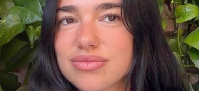 Dua-Lipa-leaves-1300.jpg Dua Lipa Stunning In Glitter String Bikini That's 'Terribly Designed'