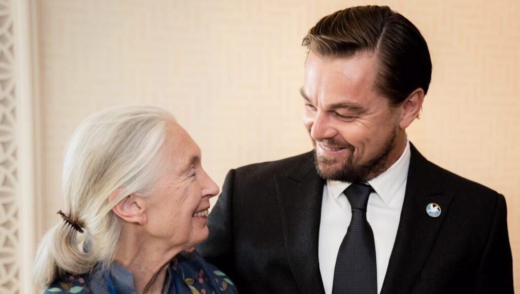 Celebrities Pay Tribute to Jane Goodall: Leonardo DiCaprio, Mark Ruffalo & More