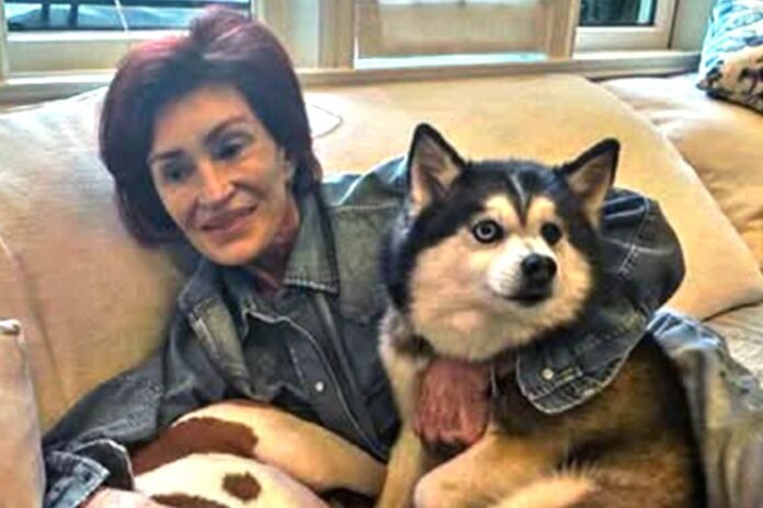 Sharon-Osbourne-dog-Elvis-101925-44e57248f01741ec9846db6179b3bd4e.jpg Sharon Osbourne Mourns Death of Dog Elvis 3 Months After Husband Ozzy Died