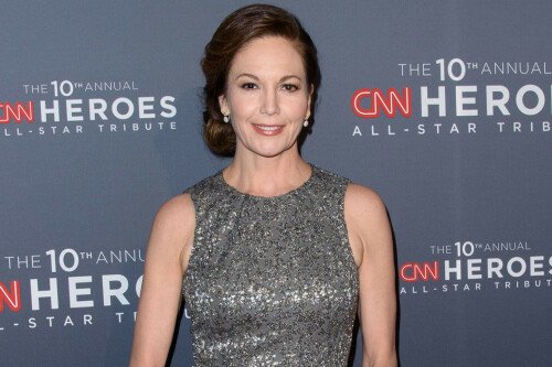 diane-lane-stars-in-the-new-thriller-aW1hZ2VzMS8yMDE3LzA0LzE.jpg I wish Anniversary was more fictitious