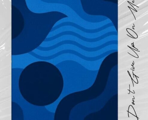 dont-give-up-on-me-494x400.jpg Rowlene, Tashinga & Argento Dust – Don’t Give up on Me II