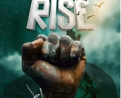 rise-494x400.jpg DJ Arabic & Drumetic Boyz – Rise