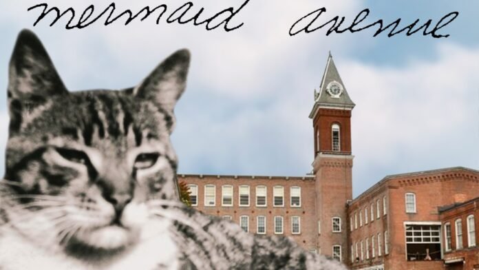 wilco-billy-bragg-mermaid-avenue-solid-sound-festival.jpg Wilco and Billy Bragg to Perform Mermaid Avenue Live for First Time at Solid Sound Festival 2026