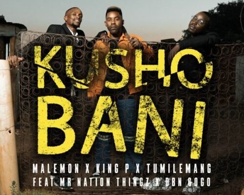 Malemon, Tumilemang & King P – Kusho Bani ft. DBN Gogo & Mr Nation Thingz