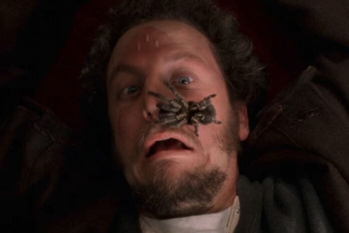 Daniel Stern is Immortalizing This Iconic 'Home Alone' Scene for the Owners of the House (Exclusive)