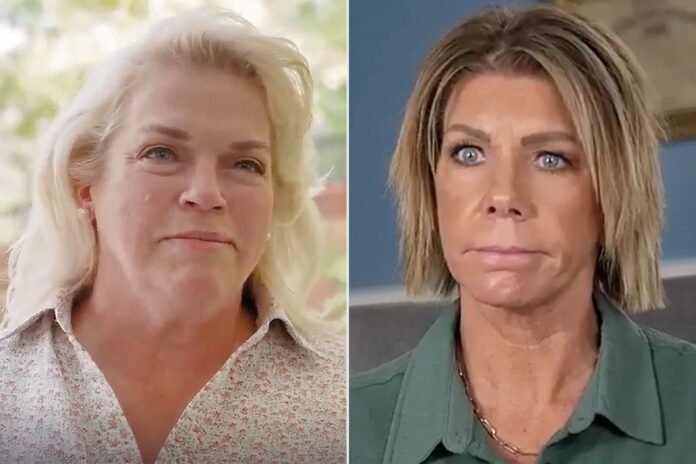 Sister Wives' Janelle Brown Opens Up About Marriage to Meri's Brother Before Kody