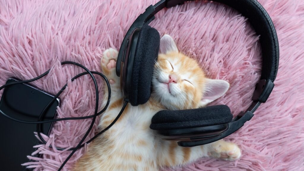 Staff Picks: Best Songs of the Week January 3rd – January 9th